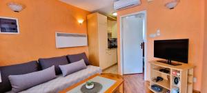 Televízia a/alebo spoločenská miestnosť v ubytovaní Simic Apartments
