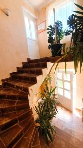 Fotografia z galérie ubytovania Simic Apartments v Novalji