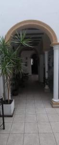 um corredor com dois vasos de plantas num edifício em Hostal Fenix em Jerez de la Frontera