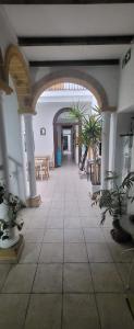 a hallway in a building with columns and potted plants at Hostal Fenix in Jerez de la Frontera