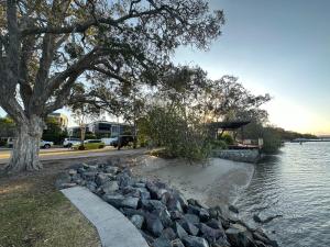 a body of water with a tree and some rocks at River Gum Apartment in Diddillibah