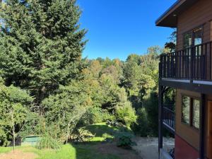 Mirabosque aparment Ejecutivos 6 في أوسورنو: منظر من شرفة منزل به اشجار
