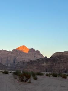 a mountain in the middle of a desert at Wadi Rum desert Mohammed in Wadi Rum