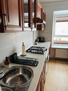 une cuisine avec un évier et un plan de travail dans l'établissement Mežaparka apartamenti, à Jēkabpils