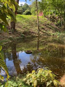 una pequeña piscina de agua en un campo con árboles en Sítio Vila de Santa Barbara, en Caeté