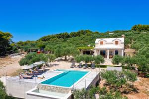 an aerial view of a villa with a swimming pool at Villa Frida in Sumartin