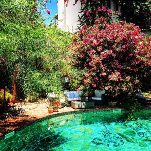Bazén v ubytování El Vino Hotel & Suites nebo v jeho okolí