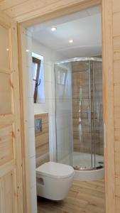 W łazience znajduje się toaleta i przeszklony prysznic. w obiekcie Domki Dębowe Wzgórze w mieście Potok Złoty