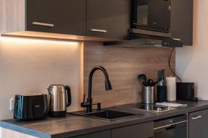 Gallery image of CREST - Riverside Lofts mit Parken I Balkon I Küche I Regendusche in Passau