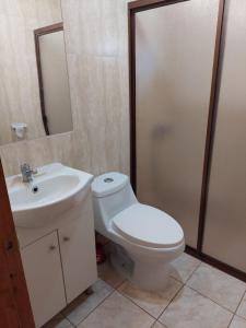 a bathroom with a toilet and a sink and a shower at Cancel in Pucón