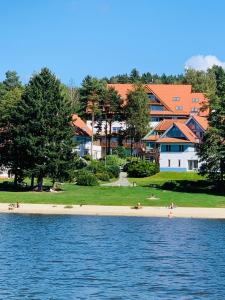 リプノ・ナト・ヴルタヴォウにあるLipno Beach Apartmentの水辺のビーチにいる人々のグループ
