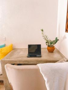 a laptop computer sitting on a wooden table with a plant at Pousada Fortal Preá in Prea