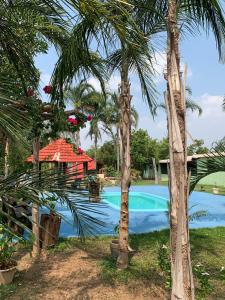 un complejo con piscina y palmeras en pousada camping do josias, en Nobres