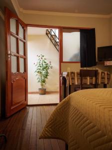 1 dormitorio con 1 cama y una maceta en Los Faroles Hostal, en Potosí