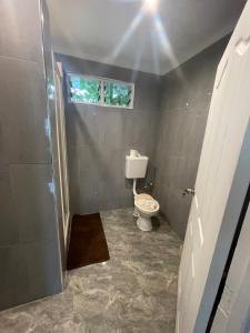 a bathroom with a toilet and a window at Aunty Fou's Home - Vaivase in Apia