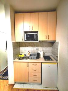 a small kitchen with a sink and a microwave at Apartman Mirka 1 in Karaburma