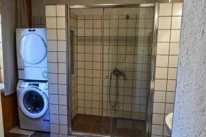 a shower in a bathroom with a washing machine at Family friendly house with a parking space Brestova Draga, Gorski kotar - 21977 in Delnice