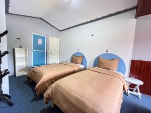 two beds in a room with blue and white walls at La Casa del Profe 