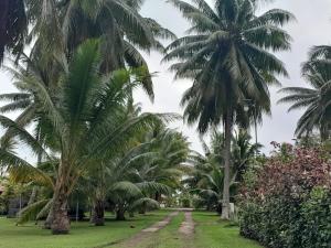 a row of palm trees with a dirt road at CHEZ VAIANA in Parea