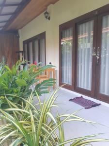 Zahrada ubytování Villas Chaba