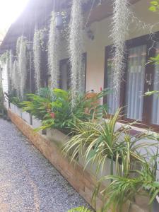 Zahrada ubytování Villas Chaba