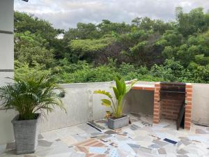 a patio with two potted plants and a fireplace at Hostel ISABELLA in Santa Marta