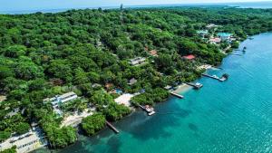 an aerial view of a small island in the water at Hotel PlayaScondida Baru in Barú