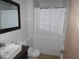 a bathroom with a toilet and a sink and a mirror at Apart Hotel Endurance in Punta Arenas +47 photos