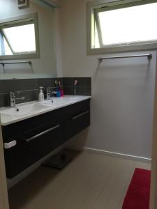 a bathroom with a sink and a window at Nikau Retreat in New Plymouth +23 photos