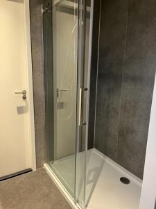 a shower with a glass door in a bathroom at Enkhuizer Strand Chalet Strandmuschel Erste Reihe Hausnr 215 in Enkhuizen +14 photos