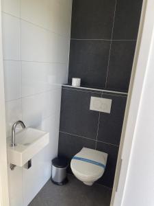 Baño pequeño con aseo y lavamanos en Enkhuizer Strand Chalet MeerZeit Dritte Reihe Haus Nr 212, en Enkhuizen