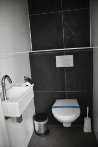 ein Badezimmer mit einem weißen WC und einem Waschbecken in der Unterkunft Enkhuizer Strand Chalet Sonnenblume Vierte Reihe mit Zaun Haus Nr 234 in Enkhuizen