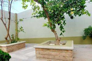 two bonsai trees sitting in a brick planter at Casa Limón, es tu casa, tu grande residencia in Calvillo