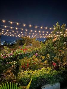 a garden with a string of lights and flowers at City Oasis Home Stays by Siima in Kampala