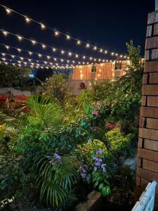 a garden with a bunch of flowers and lights at City Oasis Home Stays by Siima in Kampala