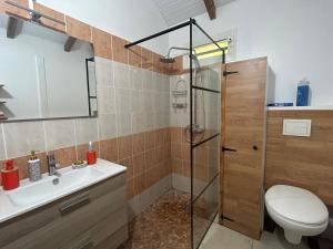 y baño con ducha, lavabo y aseo. en Joli bungalow fleuri, en Les Abymes