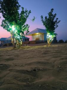 山姆Desert island Camp & Resort Jaisalmer的相册照片