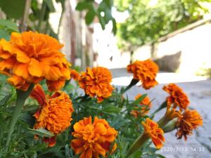 Giardino di Demirkapi Konak Hotel