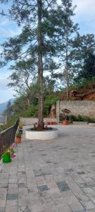 Imagen de la galería de HillTop in greany meadows yercaud, en Yercaud