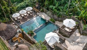 an overhead view of a swimming pool with umbrellas at Wapa di Ume Ubud in Ubud