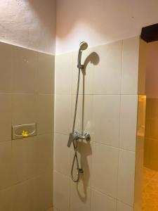 a shower stall with a shower head in a bathroom at Green Orry Inn in Tetebatu
