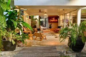 un hall avec beaucoup de plantes en pot dans l'établissement PapaCrab Boutique Guesthouse, à Kamala Beach