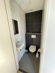La petite salle de bains est pourvue de toilettes et d'un lavabo. dans l'établissement Enkhuizer Strand Chalet Möwennest Zweite Reihe Haus Nr 261, à Enkhuizen