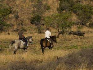two people riding horses in a field with animals at Coga Cottage - Marloth Park in Marloth Park