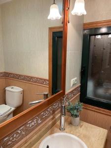 a bathroom with a sink and a toilet and a mirror at Preciosa casa en Bembrive in Vigo