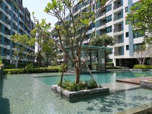 a tree in the middle of a pool in a building at Centrio Condo CENTRAL PHUKET c419 in Ban Rangeng