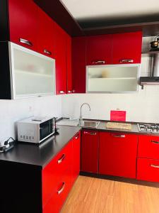 格拉索比奧的住宿－Orio Relax&Fly，一间带红色橱柜和微波炉的厨房