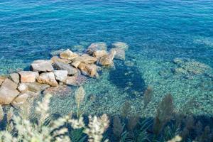 a pile of rocks in the water near the ocean at Villa Escalina with private beach and A/C in Marciana Marina