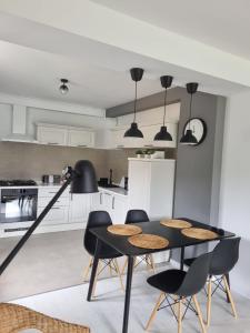 a kitchen with a black table and chairs at HCT Sinaia Apartment in Sinaia