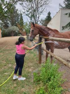uma mulher está acariciando um cavalo por uma cerca em Chambres d'hôtes dans propriété rurale em Béziers